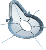 LiNA SeaStar and Skinhooks